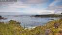 ./images/calvert/foggy-cove/20260705/foggy-cove20260705_101001M.jpg