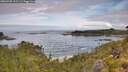 ./images/calvert/foggy-cove/20260705/foggy-cove20260705_101501M.jpg