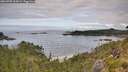 ./images/calvert/foggy-cove/20260705/foggy-cove20260705_103001M.jpg