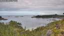 ./images/calvert/foggy-cove/20260705/foggy-cove20260705_110001M.jpg