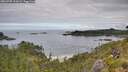 ./images/calvert/foggy-cove/20260705/foggy-cove20260705_111002M.jpg