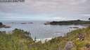 ./images/calvert/foggy-cove/20260705/foggy-cove20260705_114001M.jpg