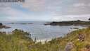 ./images/calvert/foggy-cove/20260705/foggy-cove20260705_115501M.jpg