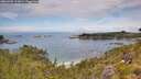 ./images/calvert/foggy-cove/20260705/foggy-cove20260705_123001M.jpg