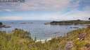 ./images/calvert/foggy-cove/20260705/foggy-cove20260705_123501M.jpg