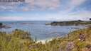 ./images/calvert/foggy-cove/20260705/foggy-cove20260705_124001M.jpg
