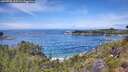 ./images/calvert/foggy-cove/20260705/foggy-cove20260705_125501M.jpg