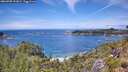 ./images/calvert/foggy-cove/20260705/foggy-cove20260705_132002M.jpg