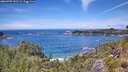 ./images/calvert/foggy-cove/20260705/foggy-cove20260705_132501M.jpg
