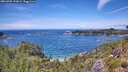 ./images/calvert/foggy-cove/20260705/foggy-cove20260705_133001M.jpg