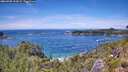 ./images/calvert/foggy-cove/20260705/foggy-cove20260705_134501M.jpg
