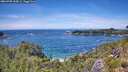 ./images/calvert/foggy-cove/20260705/foggy-cove20260705_135001M.jpg