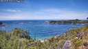 ./images/calvert/foggy-cove/20260705/foggy-cove20260705_135501M.jpg