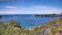 ./images/calvert/foggy-cove/20260705/foggy-cove20260705_140001M.jpg