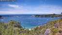 ./images/calvert/foggy-cove/20260705/foggy-cove20260705_141001M.jpg