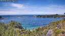 ./images/calvert/foggy-cove/20260705/foggy-cove20260705_141501M.jpg