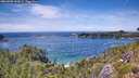 ./images/calvert/foggy-cove/20260705/foggy-cove20260705_142001M.jpg