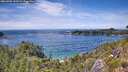 ./images/calvert/foggy-cove/20260705/foggy-cove20260705_142501M.jpg