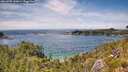 ./images/calvert/foggy-cove/20260705/foggy-cove20260705_143002M.jpg