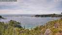 ./images/calvert/foggy-cove/20260705/foggy-cove20260705_145001M.jpg