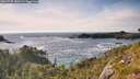 ./images/calvert/foggy-cove/20260705/foggy-cove20260705_180501M.jpg