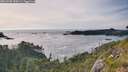 ./images/calvert/foggy-cove/20260705/foggy-cove20260705_184501M.jpg
