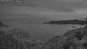 ./images/calvert/foggy-cove/20260706/foggy-cove20260706_044501M.jpg