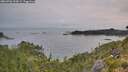./images/calvert/foggy-cove/20260706/foggy-cove20260706_053001M.jpg