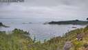 ./images/calvert/foggy-cove/20260706/foggy-cove20260706_062501M.jpg