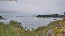 ./images/calvert/foggy-cove/20260706/foggy-cove20260706_071001M.jpg