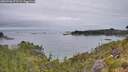 ./images/calvert/foggy-cove/20260706/foggy-cove20260706_072501M.jpg