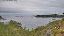 ./images/calvert/foggy-cove/20260706/foggy-cove20260706_073501M.jpg