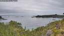 ./images/calvert/foggy-cove/20260706/foggy-cove20260706_074501M.jpg