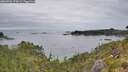 ./images/calvert/foggy-cove/20260706/foggy-cove20260706_075002M.jpg