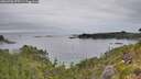 ./images/calvert/foggy-cove/20260706/foggy-cove20260706_075501M.jpg