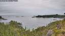 ./images/calvert/foggy-cove/20260706/foggy-cove20260706_080501M.jpg