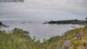 ./images/calvert/foggy-cove/20260706/foggy-cove20260706_081001M.jpg