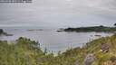 ./images/calvert/foggy-cove/20260706/foggy-cove20260706_081501M.jpg
