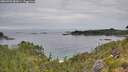 ./images/calvert/foggy-cove/20260706/foggy-cove20260706_083001M.jpg