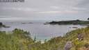 ./images/calvert/foggy-cove/20260706/foggy-cove20260706_084001M.jpg