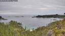 ./images/calvert/foggy-cove/20260706/foggy-cove20260706_084501M.jpg
