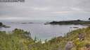 ./images/calvert/foggy-cove/20260706/foggy-cove20260706_085002M.jpg