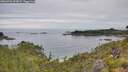 ./images/calvert/foggy-cove/20260706/foggy-cove20260706_093001M.jpg