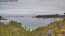 ./images/calvert/foggy-cove/20260706/foggy-cove20260706_094001M.jpg