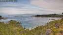 ./images/calvert/foggy-cove/20260706/foggy-cove20260706_100501M.jpg