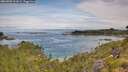 ./images/calvert/foggy-cove/20260706/foggy-cove20260706_101001M.jpg