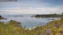 ./images/calvert/foggy-cove/20260706/foggy-cove20260706_103501M.jpg
