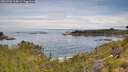 ./images/calvert/foggy-cove/20260706/foggy-cove20260706_104001M.jpg