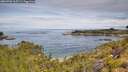 ./images/calvert/foggy-cove/20260706/foggy-cove20260706_105502M.jpg