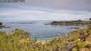 ./images/calvert/foggy-cove/20260706/foggy-cove20260706_110001M.jpg